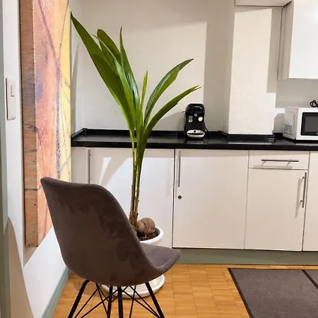 Apartamento Old Town Zúrich